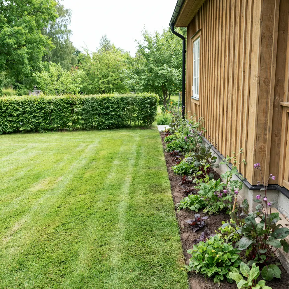 tradgardsarbete hasselby vallingby racksta stockholm